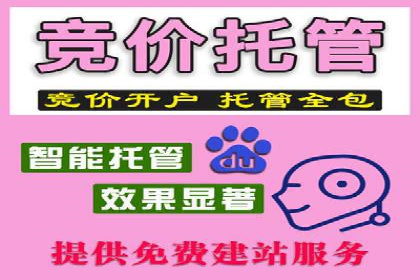 sem百度竞价实战：成功案例解析